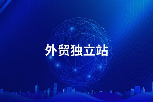 外貿(mào)建站企業(yè)選擇指南 專業(yè)特點(diǎn)與關(guān)鍵要點(diǎn)